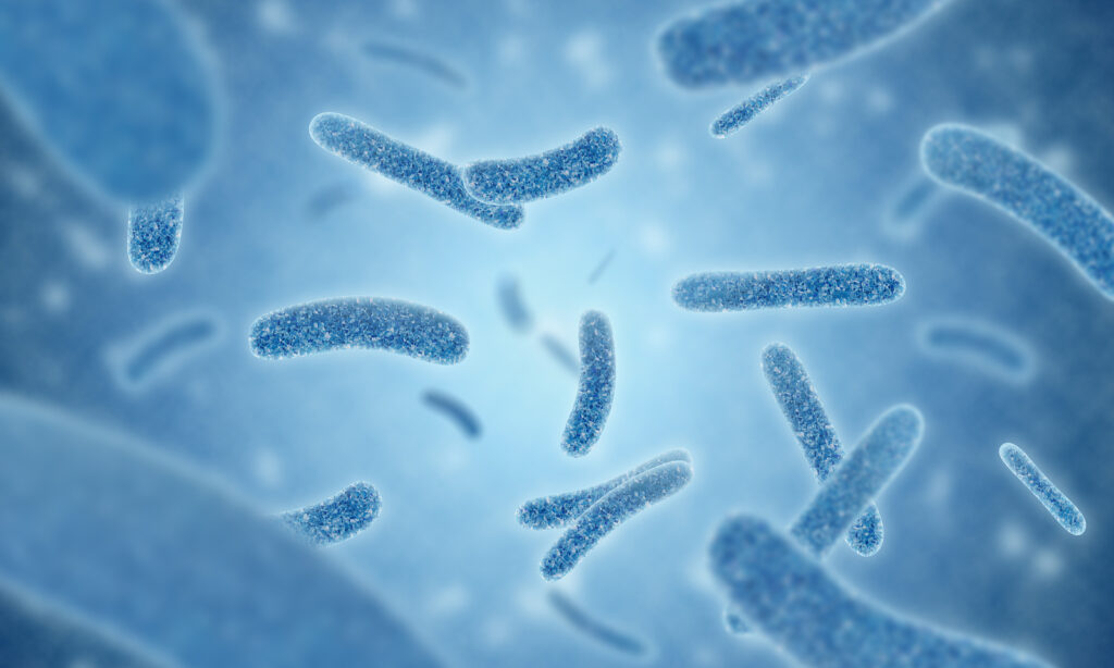 close up of 3d illustration microscopic blue of Legionella pneumophila bacteria