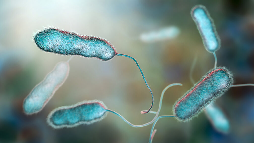 How to Kill Legionella Bacteria Effectively Advice From Specialists