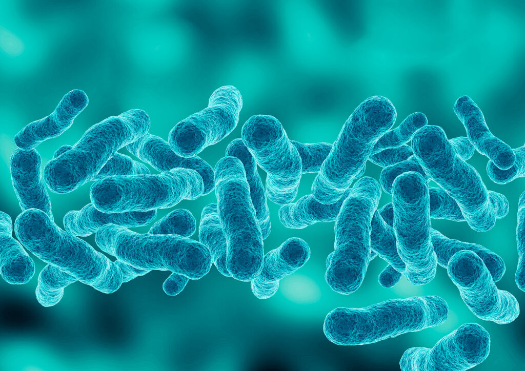 3d rendering of legionella bacteria