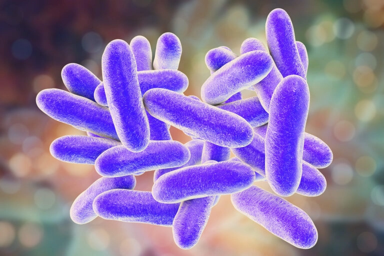Legionella pneumophila bacteria, a 3D illustration showing the causative agent of Legionnaire's disease