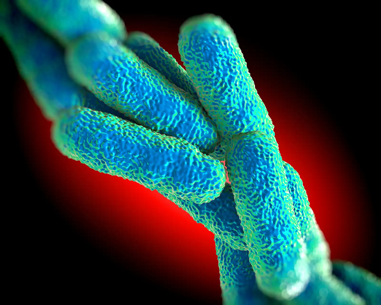 Legionella Pneumophila Bacteria, artwork rendered image in 3d