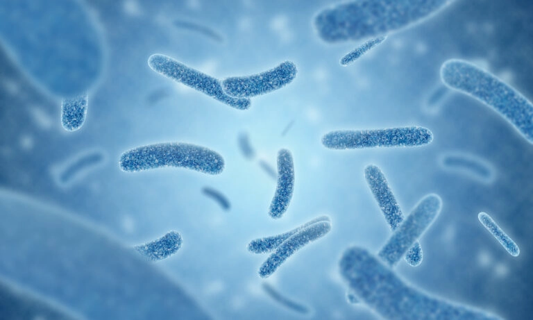 close up of 3d illustration microscopic blue of Legionella pneumophila bacteria is the causative agent of Legionnaires disease.
